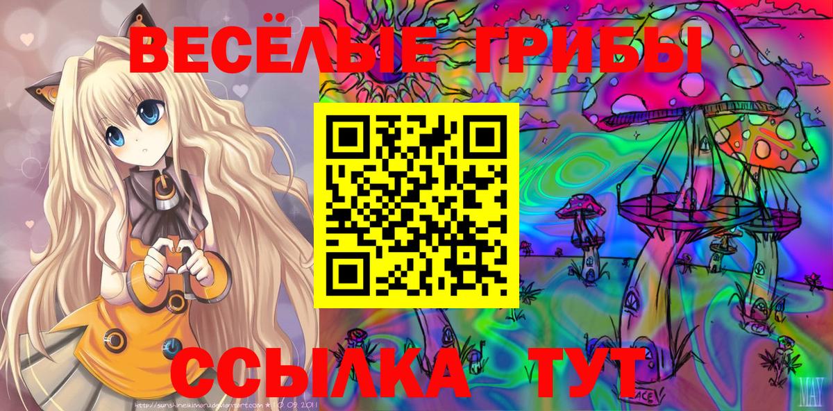 Кирово-Чепецк  Галлюциногенные грибы прущие грибы  Галлюциногенные грибы MAGIC MUSHROOMS  Вход с VPN 