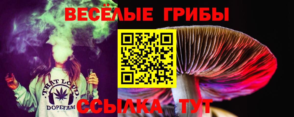Псилоцибиновые грибы Cubensis Кирово-Чепецк